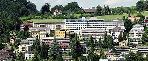 Seehof Luzern, Schwanenplatz